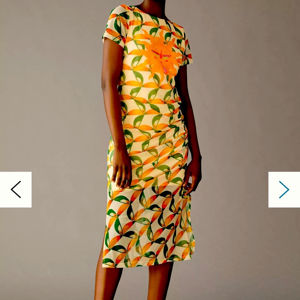 NWT Farm Rio Anthropologie Printed Mesh Sun Toucan Dress